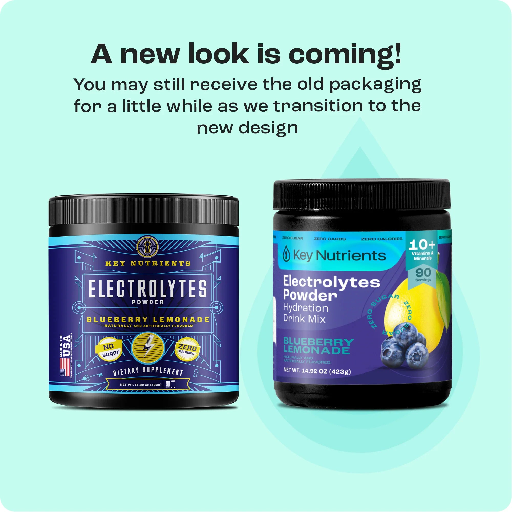 Electrolyte Recovery Plus Powder (Sugar-Free) by Key Nutrients