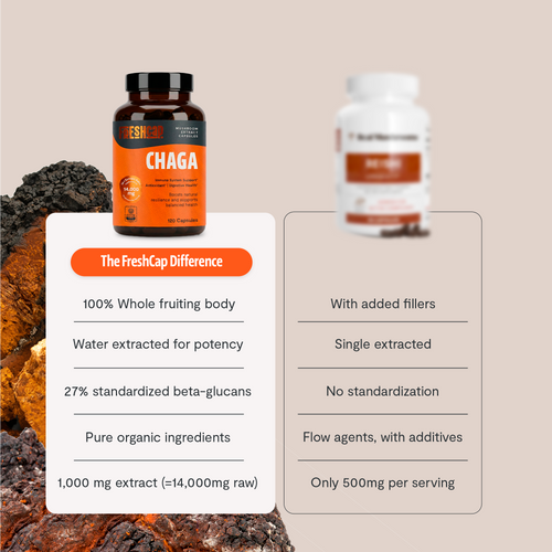 Chaga Mushroom Extract Capsules by FreshCap Mushrooms