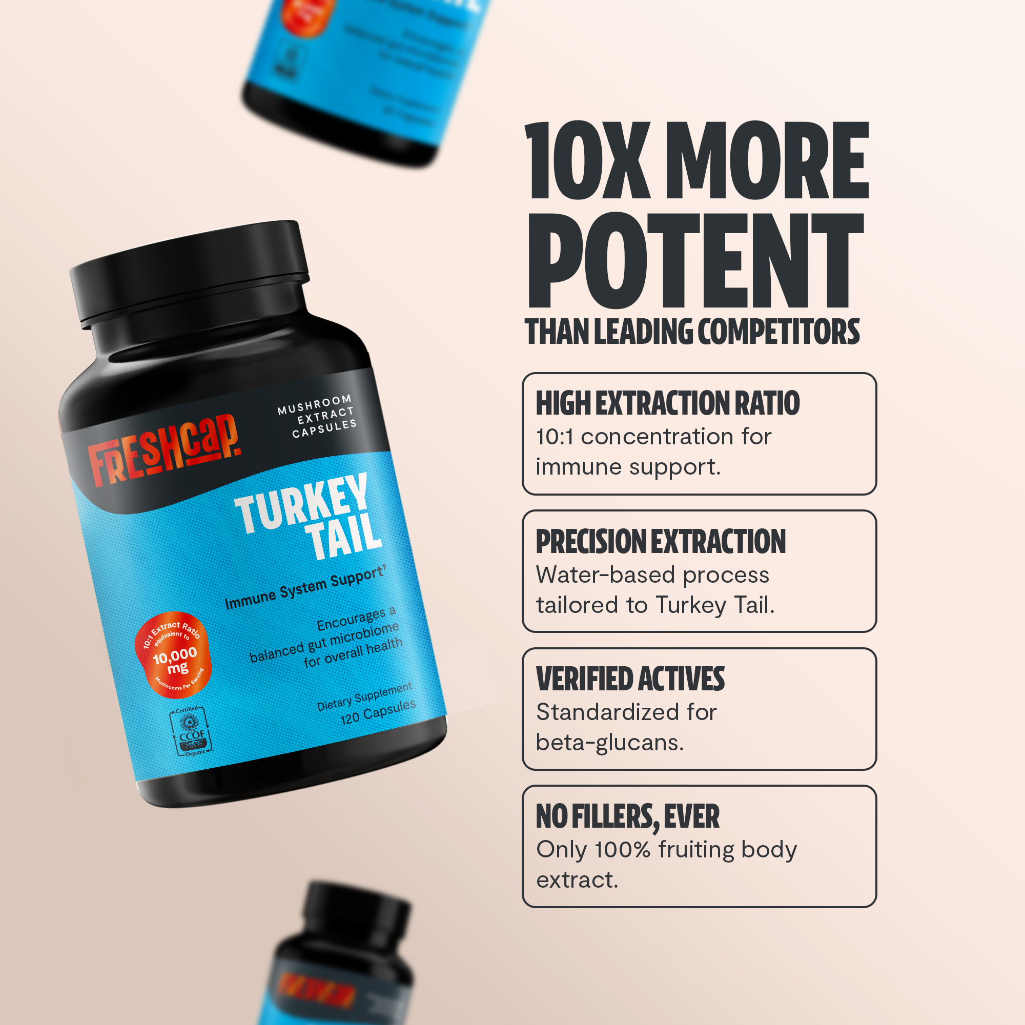 Turkey Tail Mushroom Extract Capsules by FreshCap Mushrooms