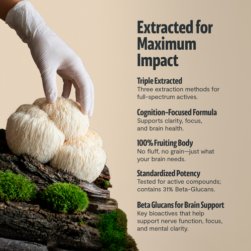 Lion's Mane Mushroom Extract Capsules by FreshCap Mushrooms