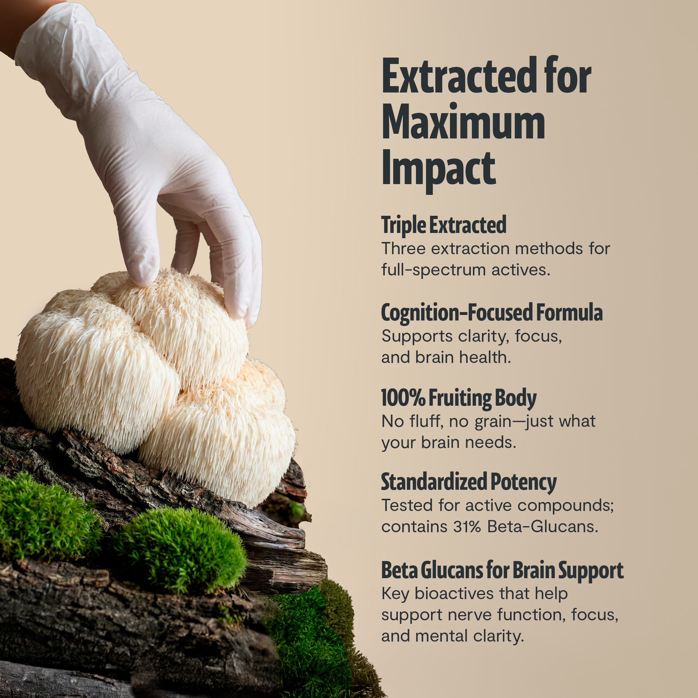 Ultimate Mushroom Complex Capsules by FreshCap Mushrooms