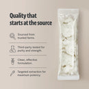 Lion's Mane Mushroom Extract Powder by FreshCap Mushrooms