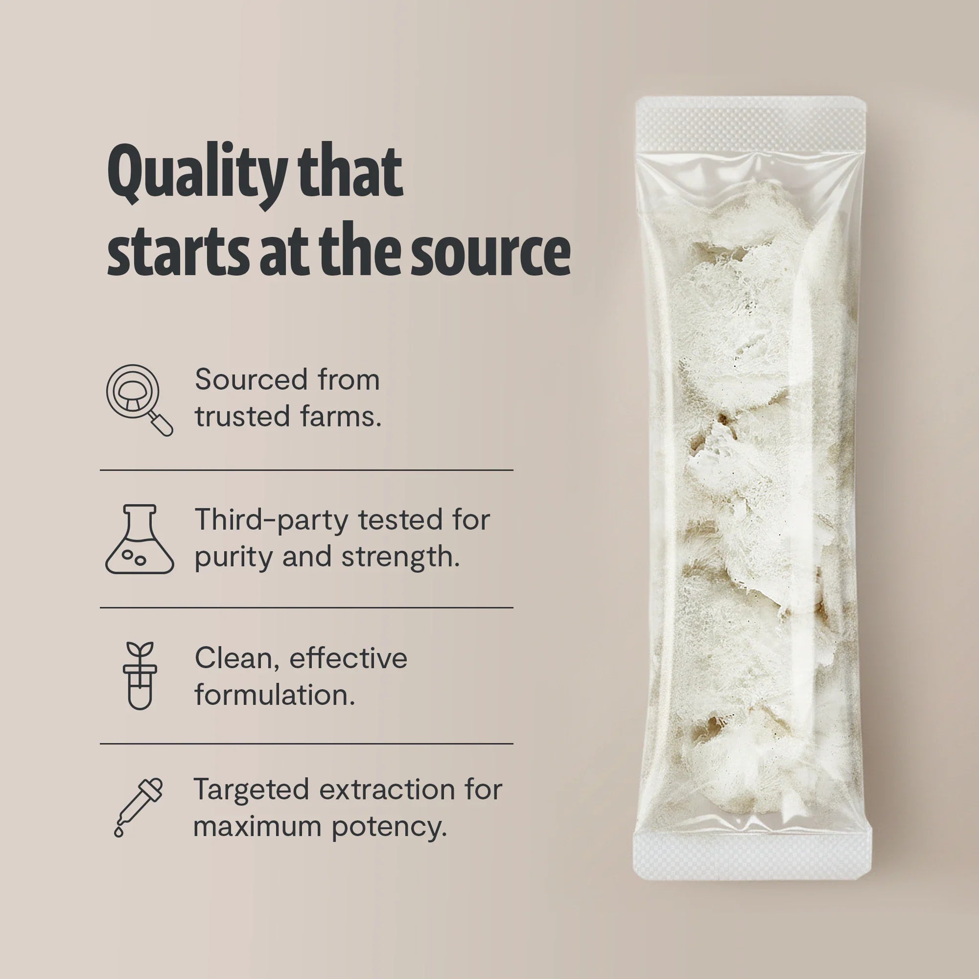 Lion's Mane Mushroom Extract Powder by FreshCap Mushrooms