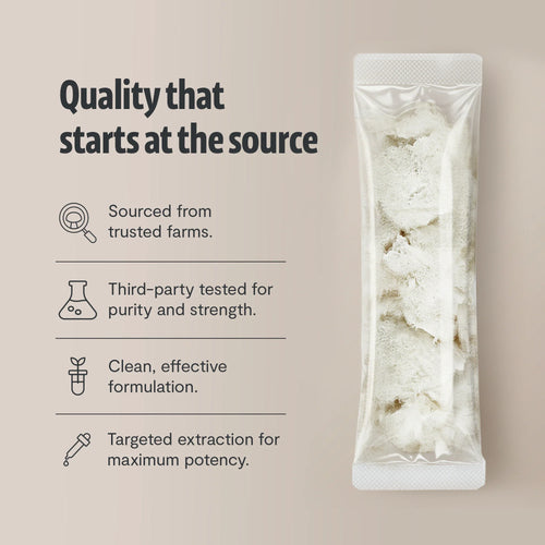 Lion's Mane Mushroom Extract Powder by FreshCap Mushrooms