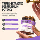 Lion's Mane Mushroom Extract Powder by FreshCap Mushrooms