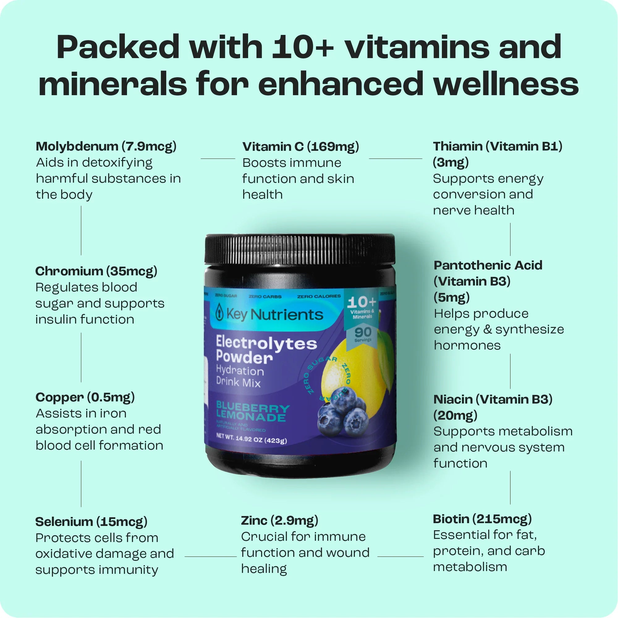 Electrolyte Recovery Plus Powder (Sugar-Free) by Key Nutrients