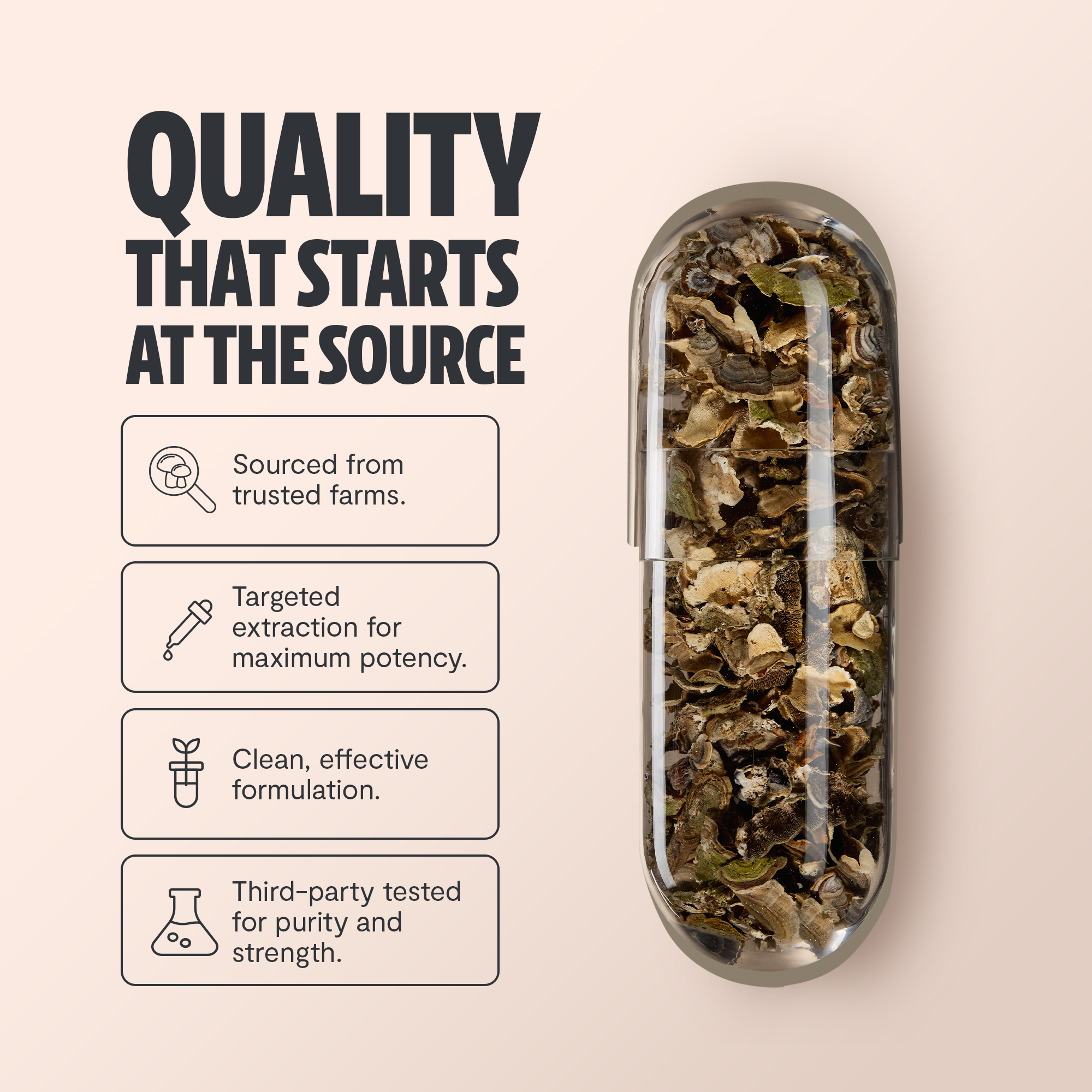 Turkey Tail Mushroom Extract Capsules by FreshCap Mushrooms