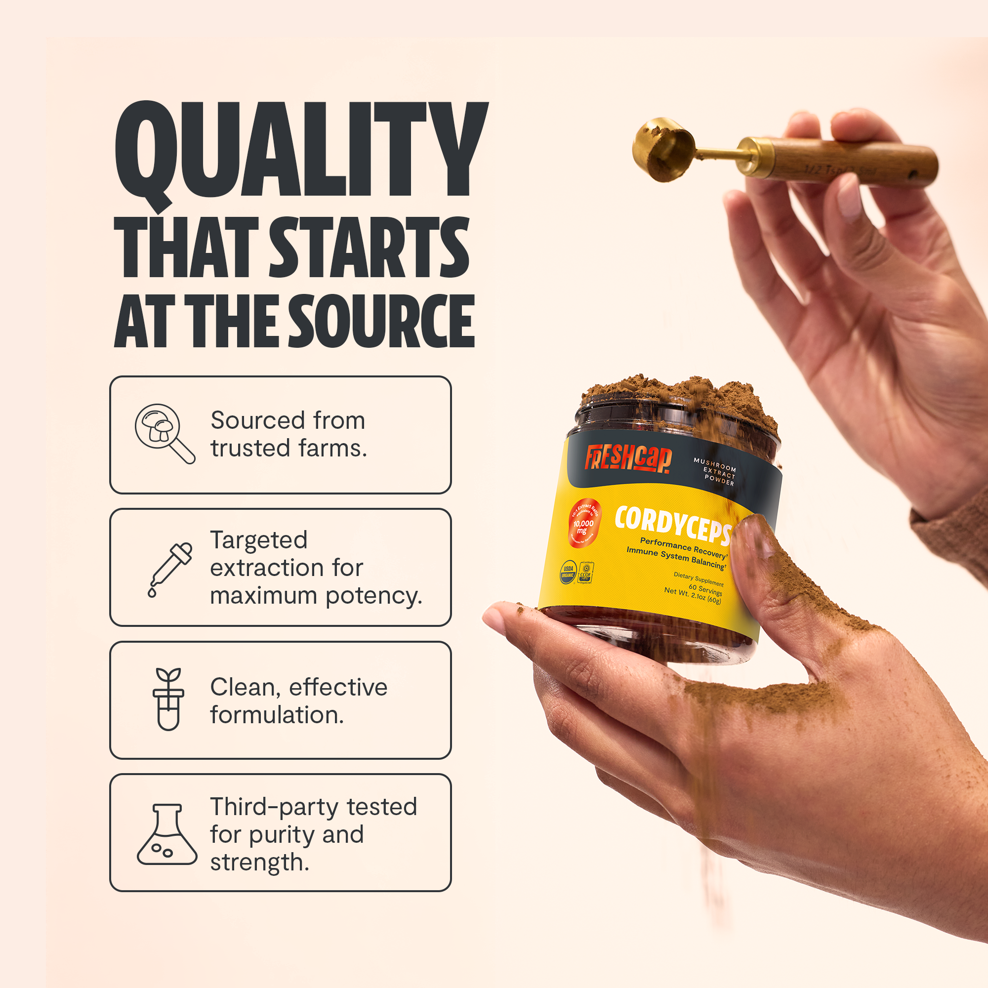 Cordyceps Mushroom Extract Powder by FreshCap Mushrooms