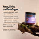 Lion's Mane Mushroom Extract Powder by FreshCap Mushrooms