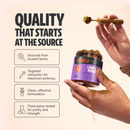 Lion's Mane Mushroom Extract Powder by FreshCap Mushrooms