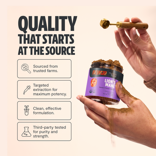 Lion's Mane Mushroom Extract Powder by FreshCap Mushrooms