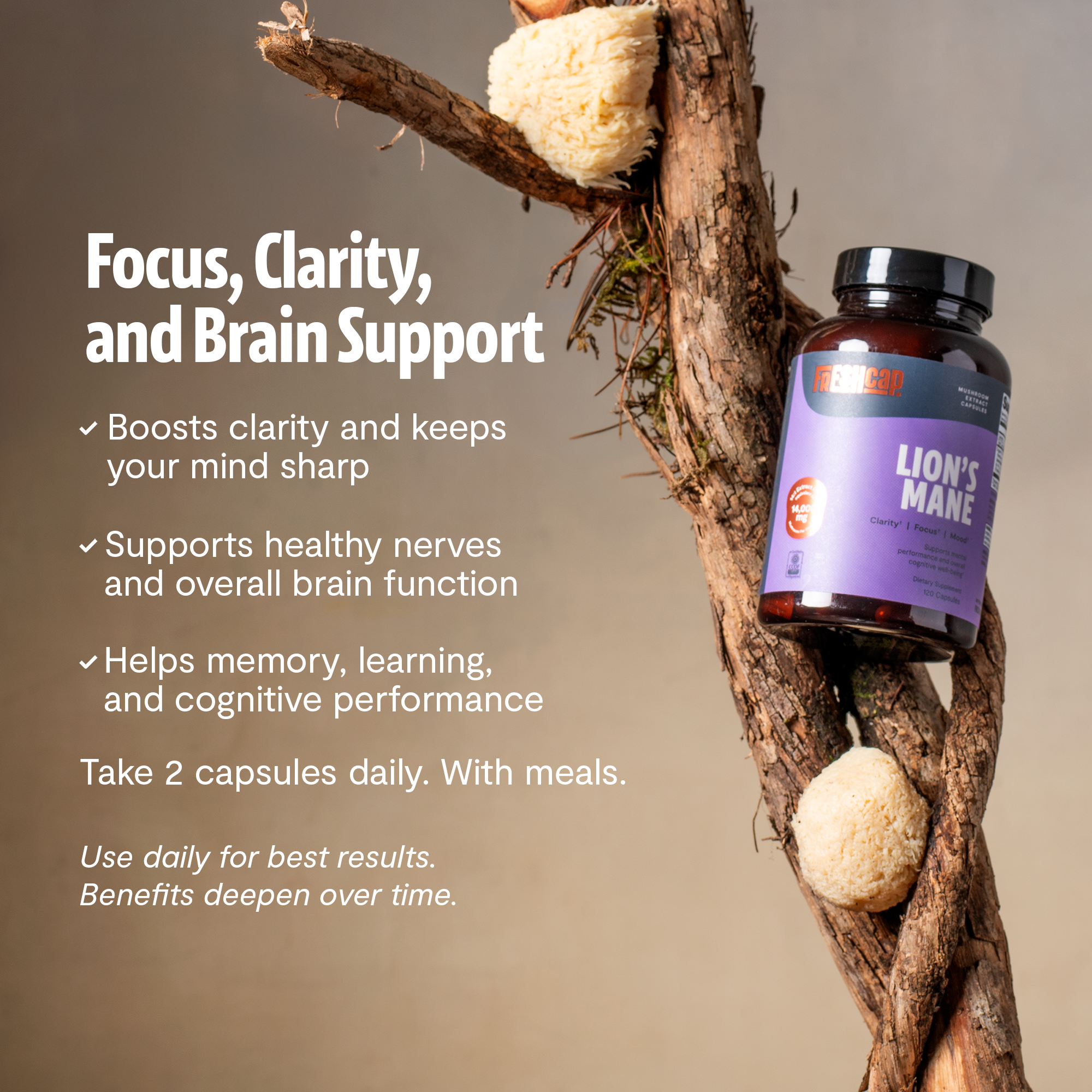Lion's Mane Mushroom Extract Capsules by FreshCap Mushrooms