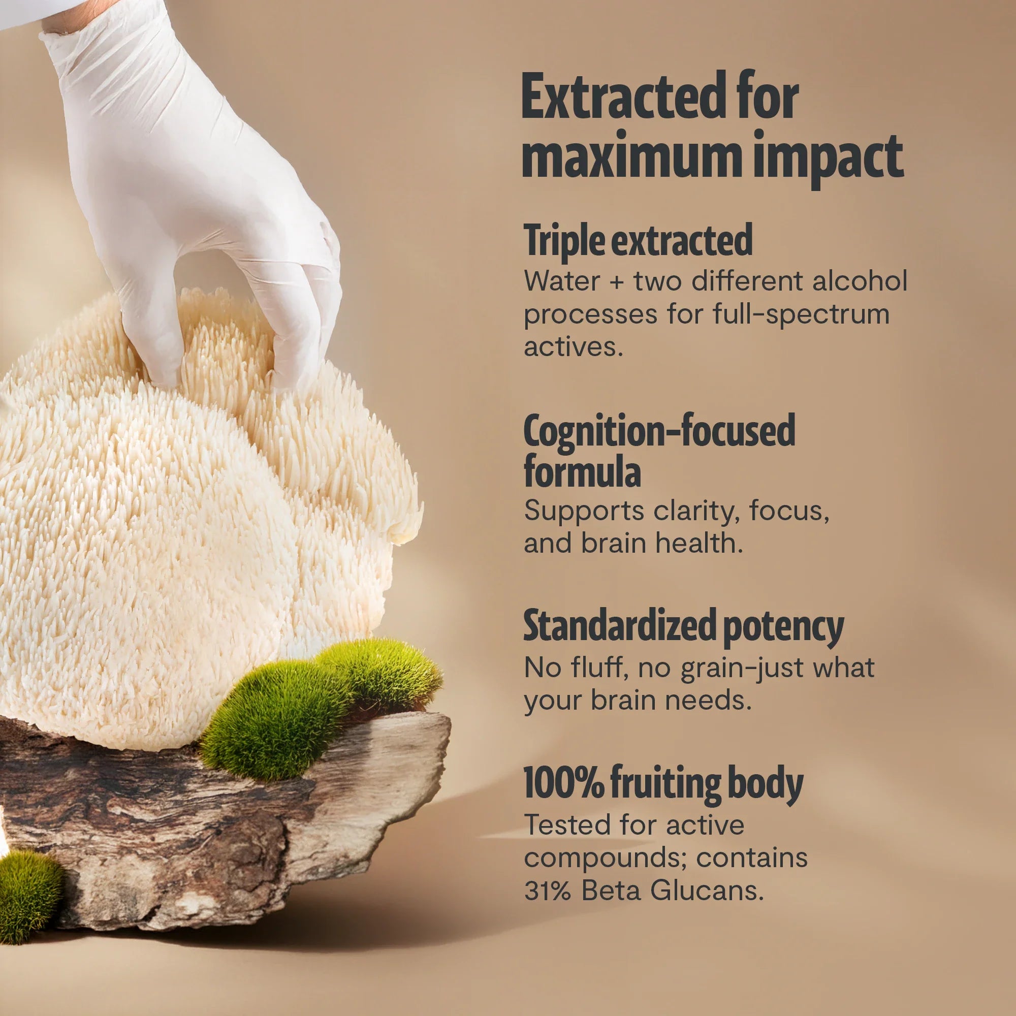 Lion's Mane Mushroom Extract Powder by FreshCap Mushrooms