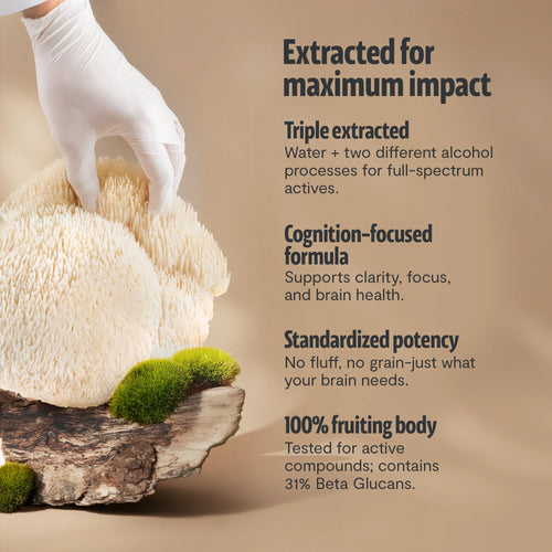 Lion's Mane Mushroom Extract Powder by FreshCap Mushrooms