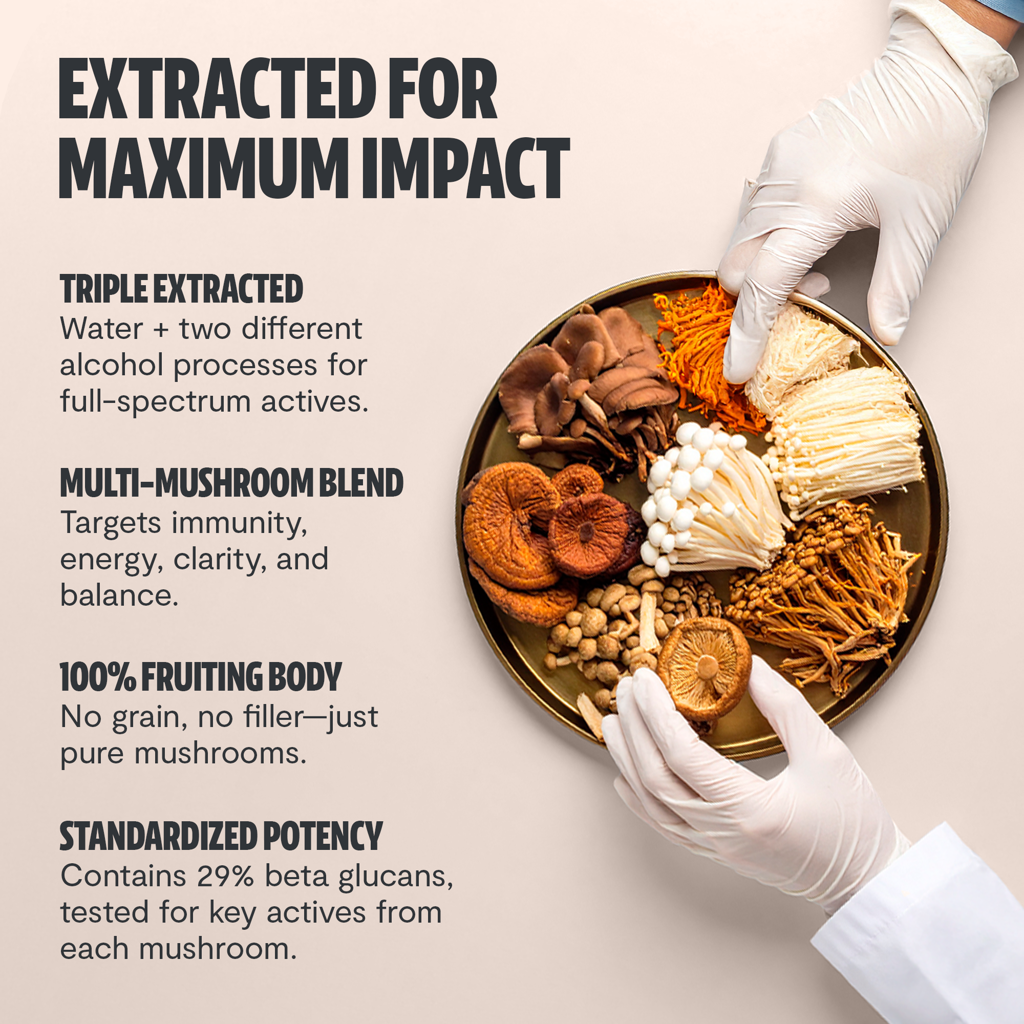 Ultimate Mushroom Complex Capsules by FreshCap Mushrooms