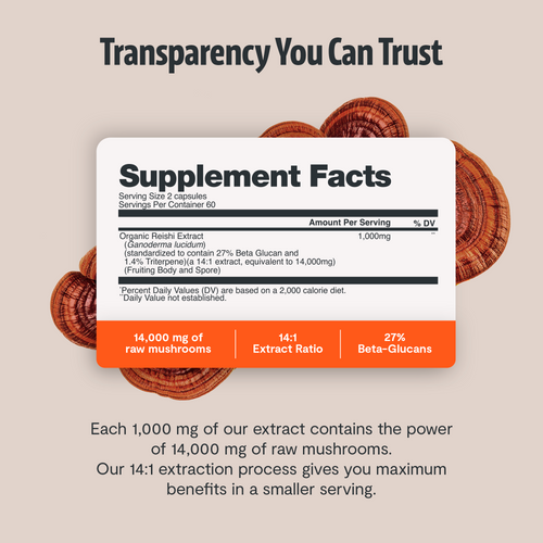 Reishi Mushroom Extract Capsules by FreshCap Mushrooms