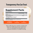 Lion's Mane Mushroom Extract Capsules by FreshCap Mushrooms