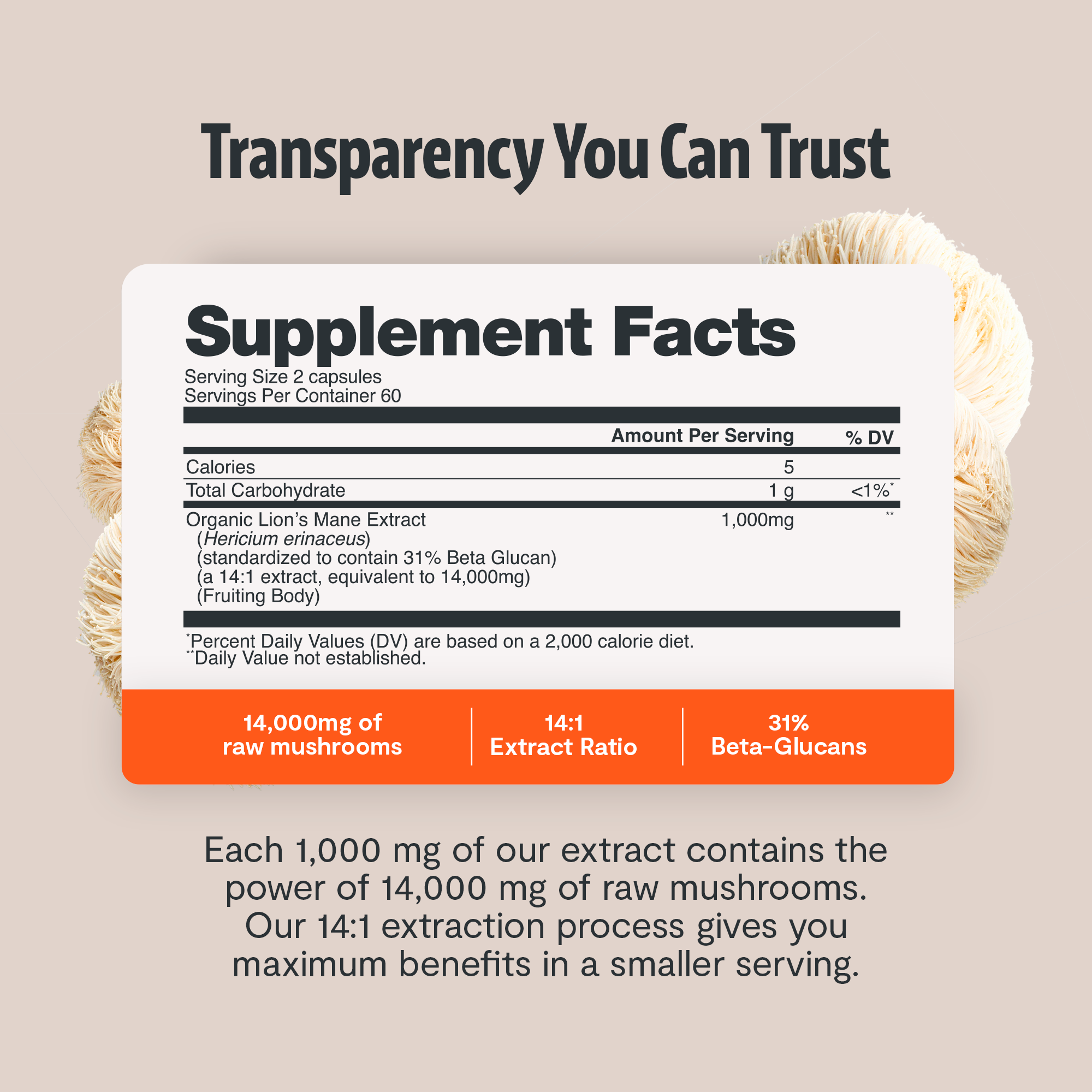 Lion's Mane Mushroom Extract Capsules by FreshCap Mushrooms