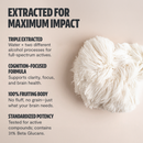 Lion's Mane Mushroom Extract Powder by FreshCap Mushrooms