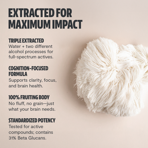 Lion's Mane Mushroom Extract Powder by FreshCap Mushrooms