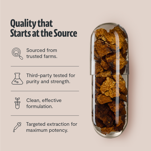 Chaga Mushroom Extract Capsules by FreshCap Mushrooms