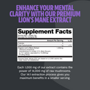 Lion's Mane Mushroom Extract Powder by FreshCap Mushrooms