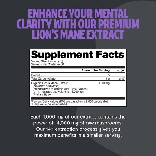 Lion's Mane Mushroom Extract Powder by FreshCap Mushrooms