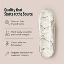 Lion's Mane Mushroom Extract Capsules by FreshCap Mushrooms