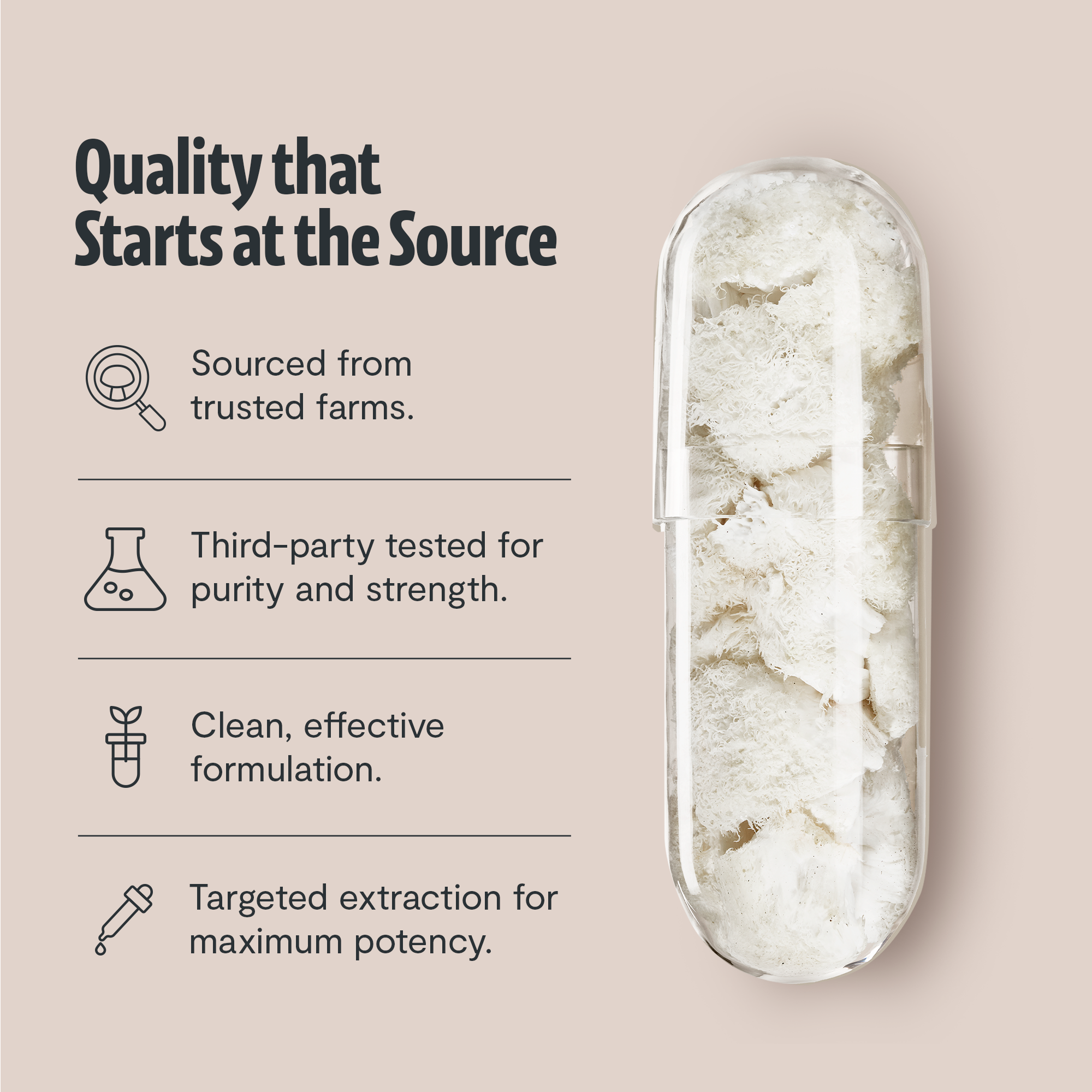 Lion's Mane Mushroom Extract Capsules by FreshCap Mushrooms