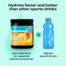 Electrolyte Recovery Plus Powder (Sugar-Free) by Key Nutrients
