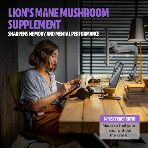 Lion's Mane Mushroom Extract Powder by FreshCap Mushrooms
