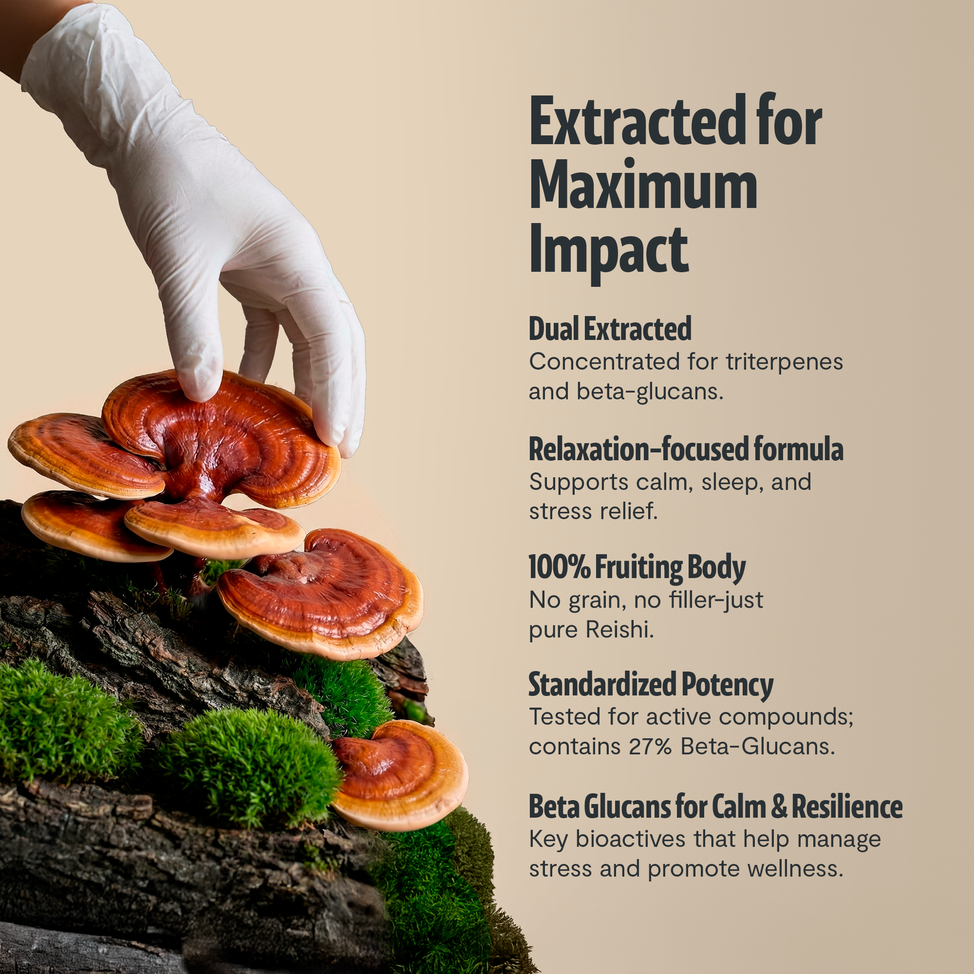 Reishi Mushroom Extract Capsules by FreshCap Mushrooms