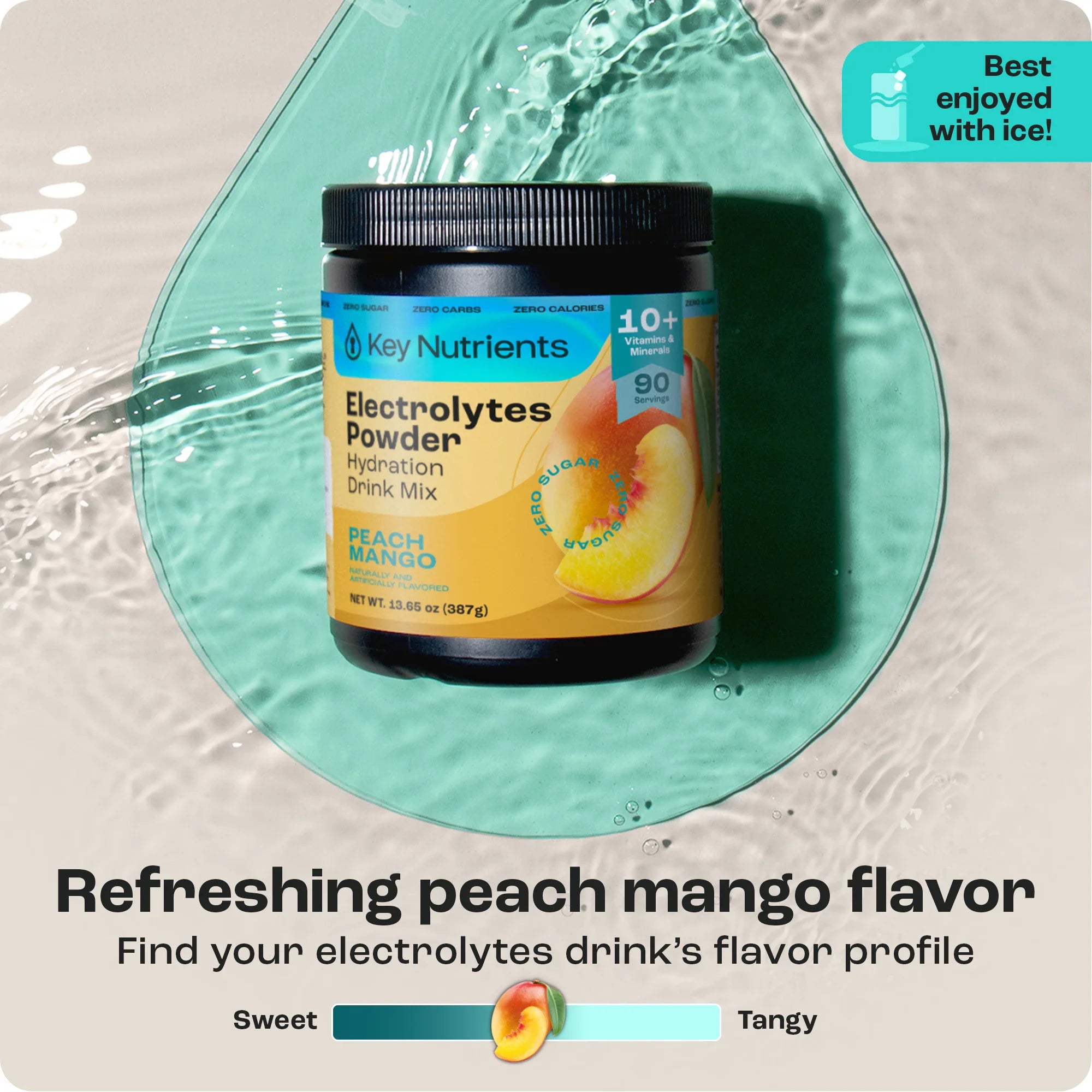 Electrolyte Recovery Plus Powder (Sugar-Free) by Key Nutrients