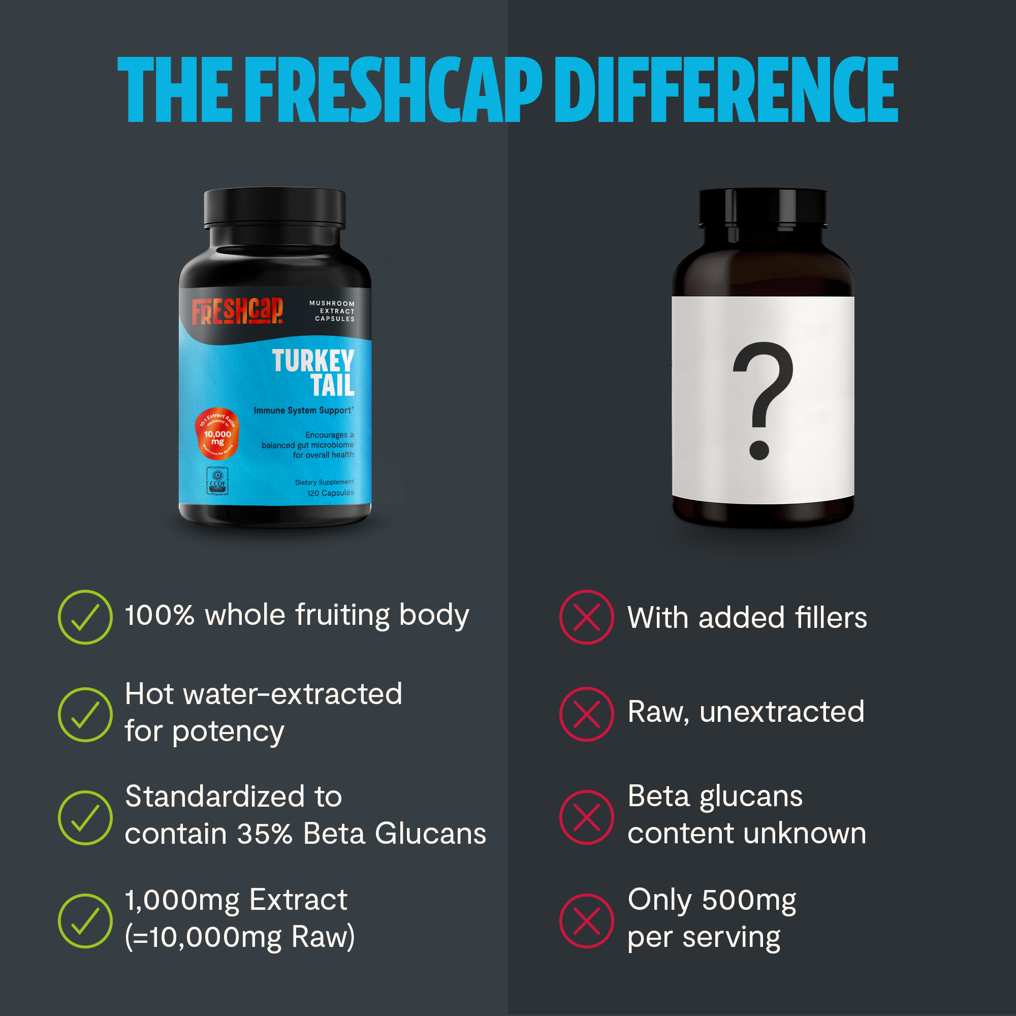 Turkey Tail Mushroom Extract Capsules by FreshCap Mushrooms