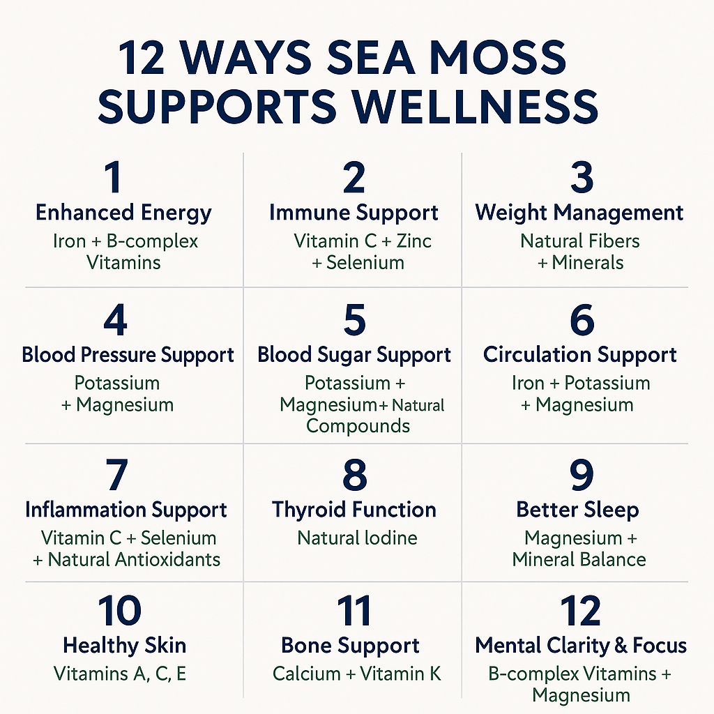 Elderberry Fusion Sea Moss Gel 16oz by Sea Moss Lyfe