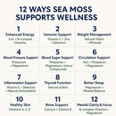 Elderberry Fusion Sea Moss Gel 16oz by Sea Moss Lyfe