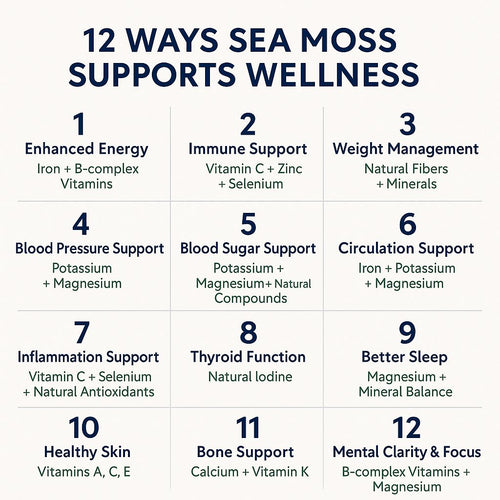 Elderberry Fusion Sea Moss Gel 16oz by Sea Moss Lyfe