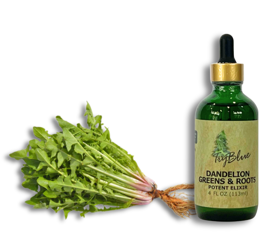 Dandelion Greens & Roots Elixir by Try-Blue