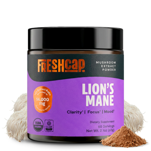 Lion's Mane Mushroom Extract Powder by FreshCap Mushrooms