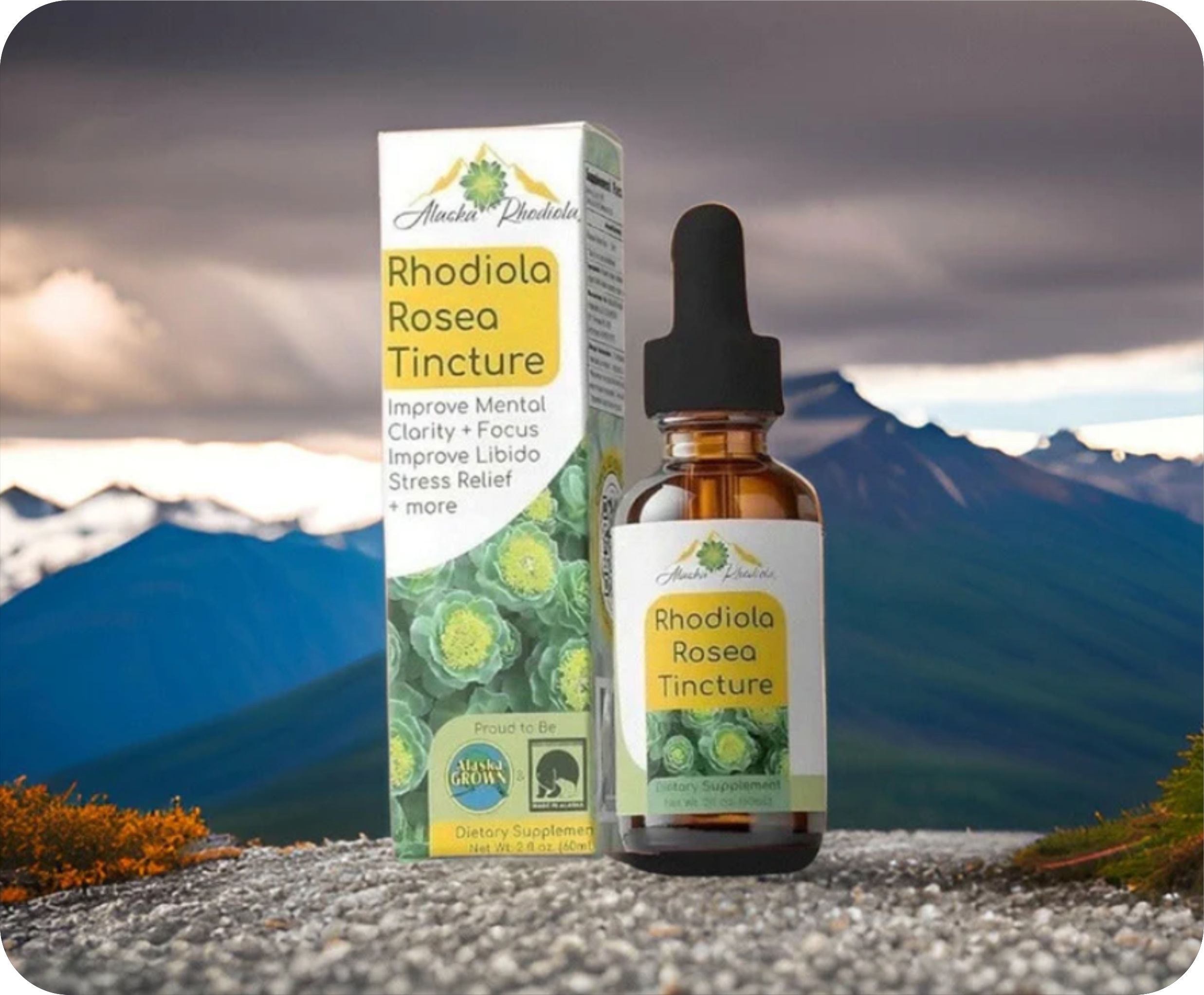 Rhodiola Rosea Tincture – Natural Stress & Energy Support (2 oz) by Alaska Rhodiola