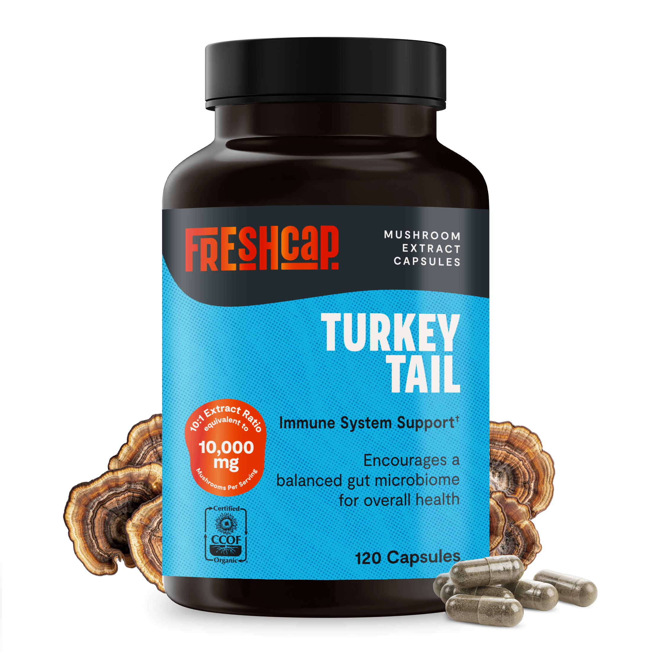 Turkey Tail Mushroom Extract Capsules by FreshCap Mushrooms