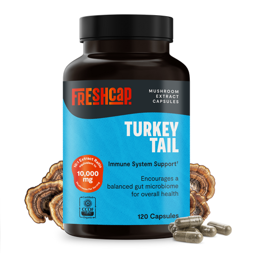 Turkey Tail Mushroom Extract Capsules by FreshCap Mushrooms